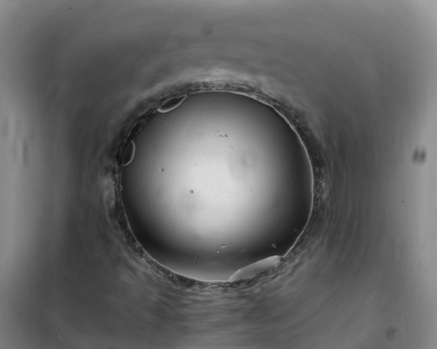 X0000101171493200807111040