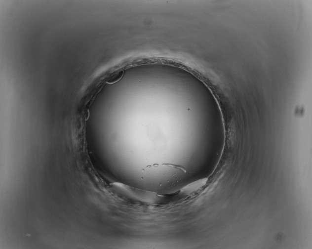 X0000101171494200807111040