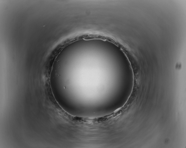 X0000101171495200807111040