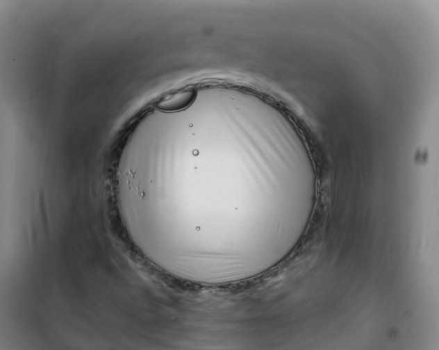 X0000101171496200807111040