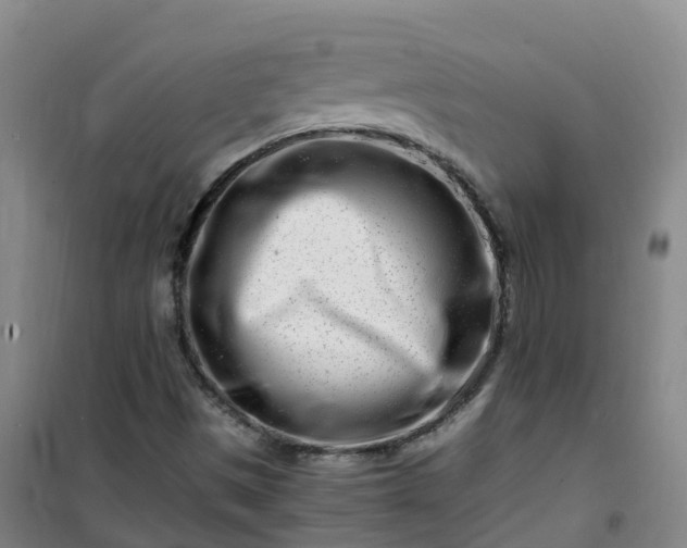 X0000101171497200807111040