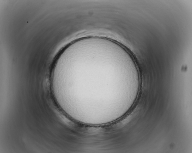 X0000101171498200807111040