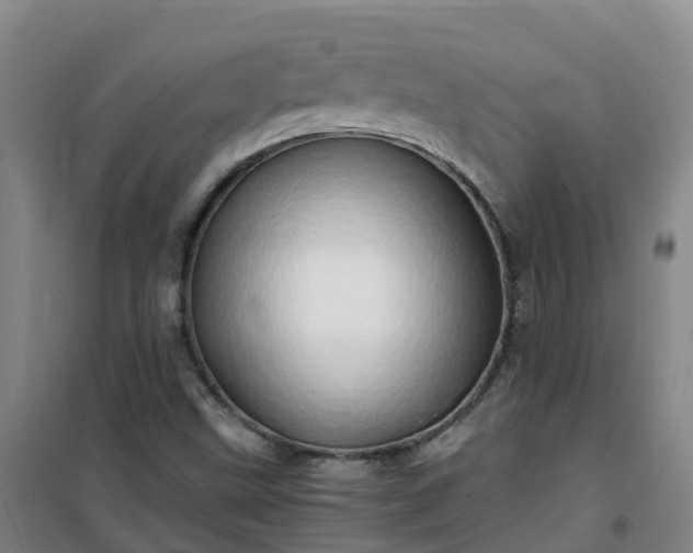 X0000101171499200807111040