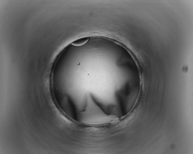 X0000101171500200807111040
