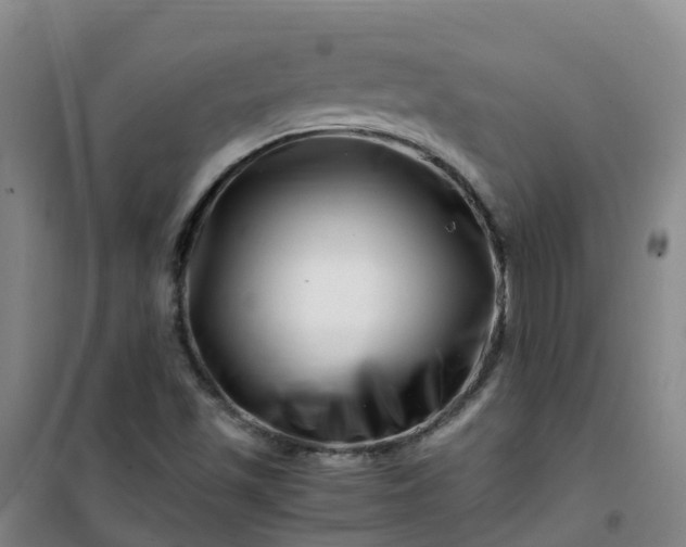 X0000101171501200807111040