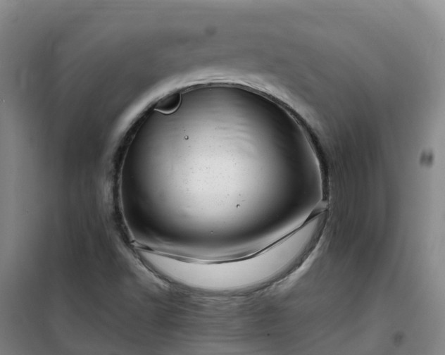 X0000101171502200807111040