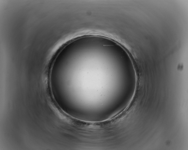 X0000101171503200807111040