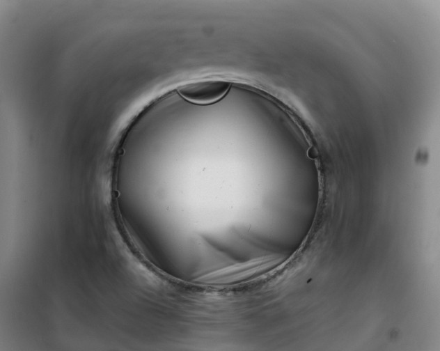 X0000101171504200807111040