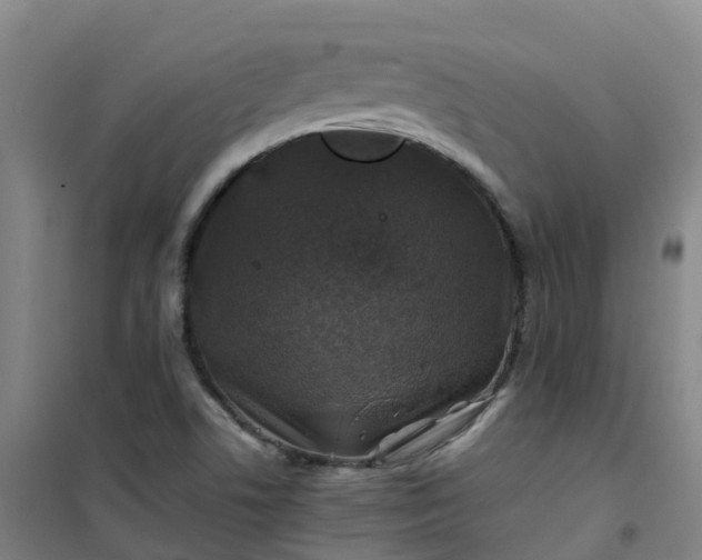 X0000101171506200807111040