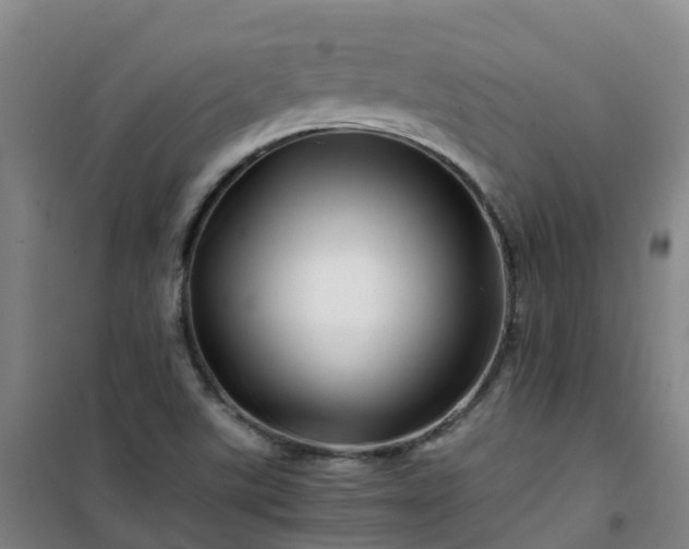 X0000101171507200807111040
