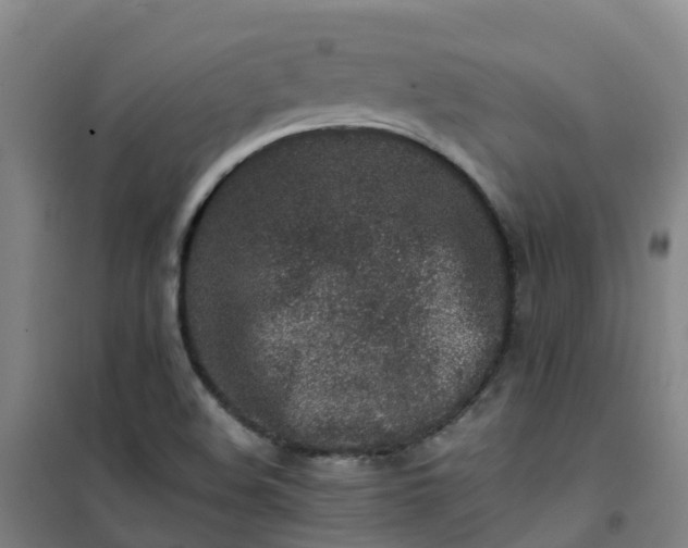 X0000101171508200807111040