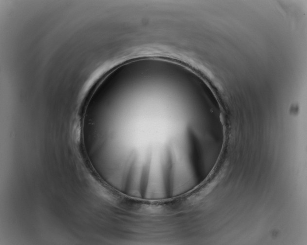 X0000101171509200807111040