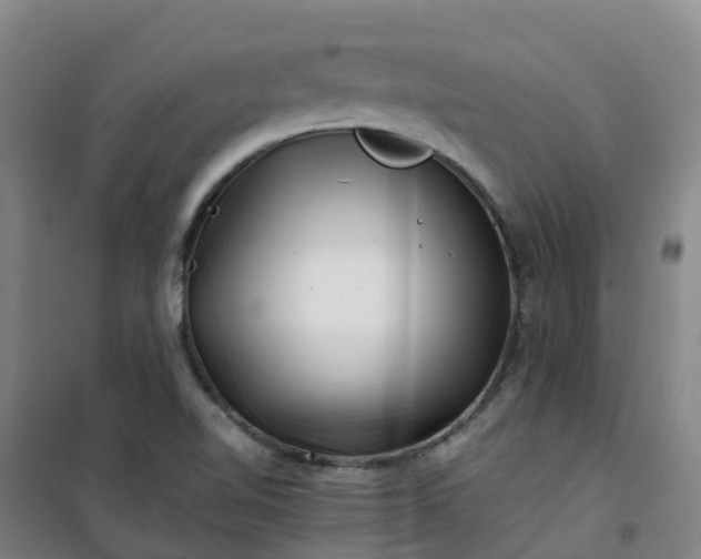 X0000101171510200807111040