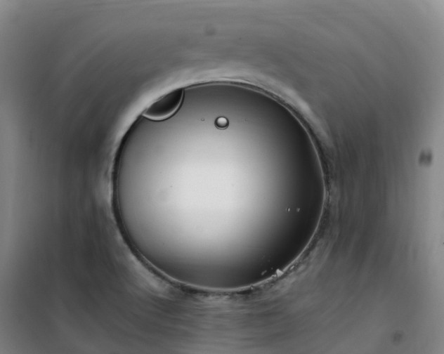 X0000101171512200807111040