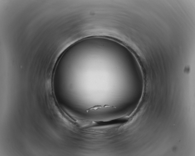 X0000101171513200807111040