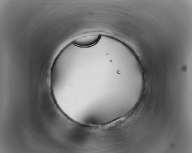 X0000101171516200807111040