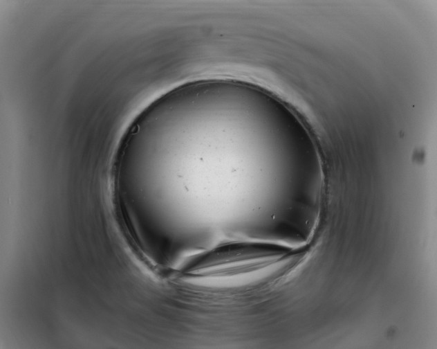 X0000101171517200807111040