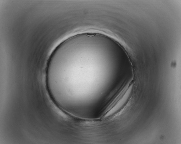 X0000101171518200807111040
