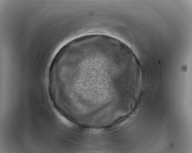 X0000101171519200807111040