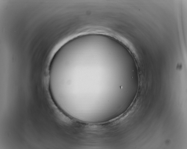 X0000101171520200807111040
