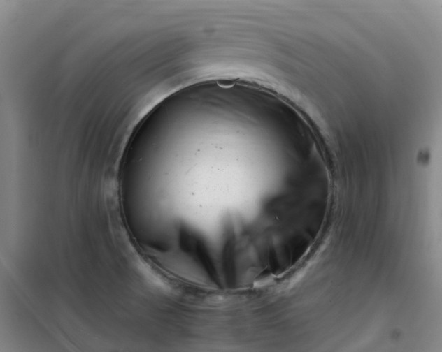 X0000101171521200807111040
