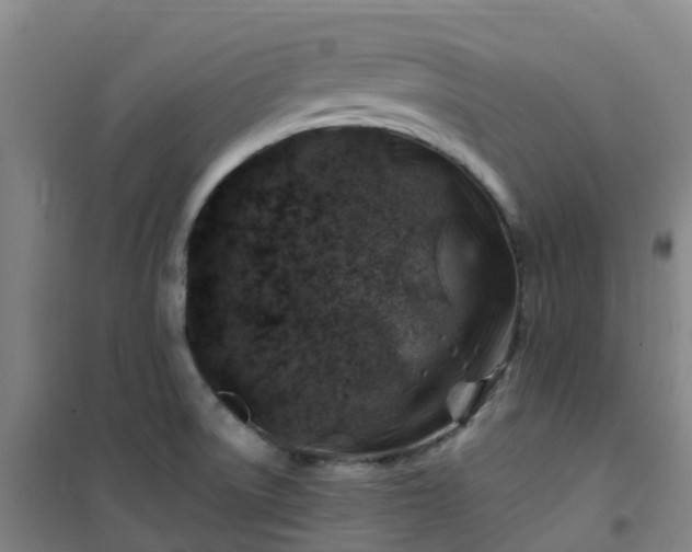 X0000101171522200807111040