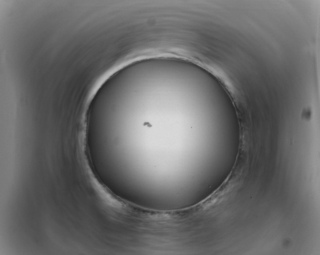 X0000101171524200807111040