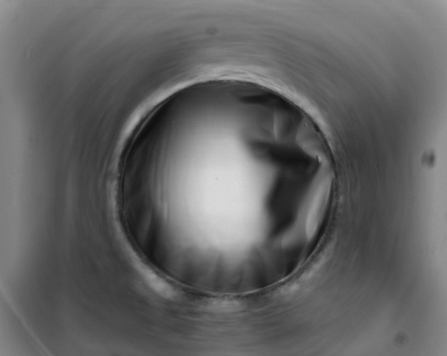 X0000101171525200807111040