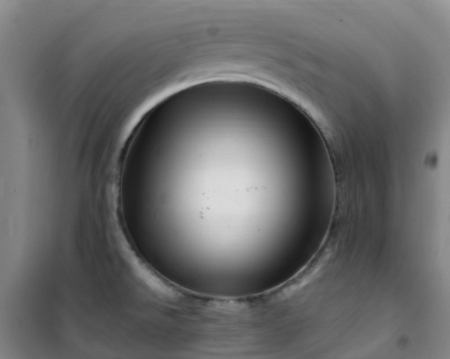 X0000101171526200807111040