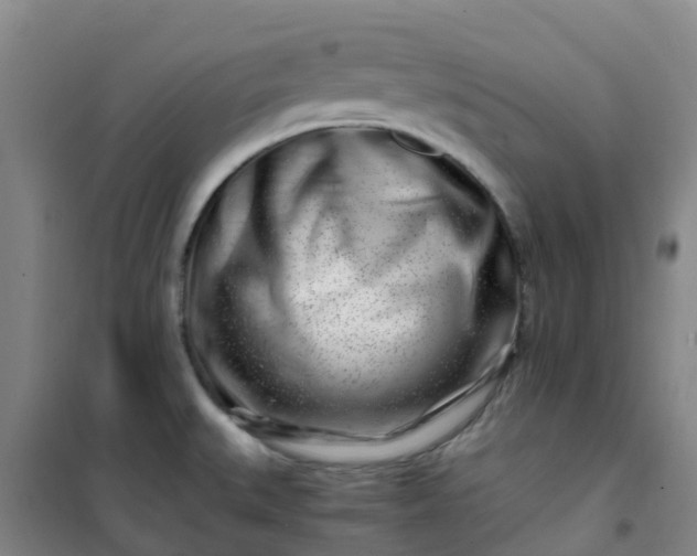 X0000101171527200807111040