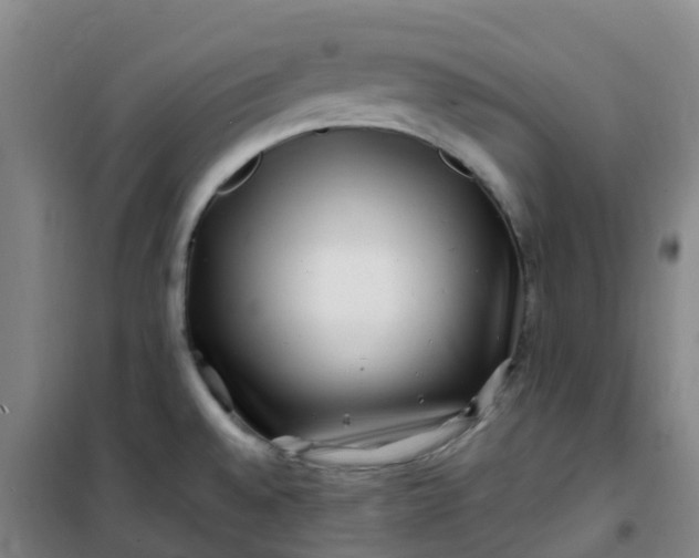 X0000101171528200807111040