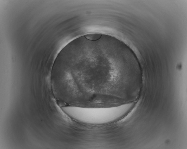 X0000101171529200807111040
