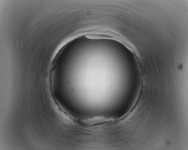 X0000101171530200807111040