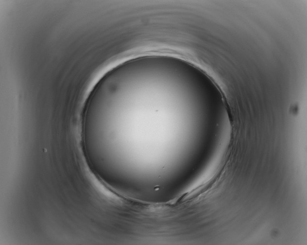 X0000101171531200807111040
