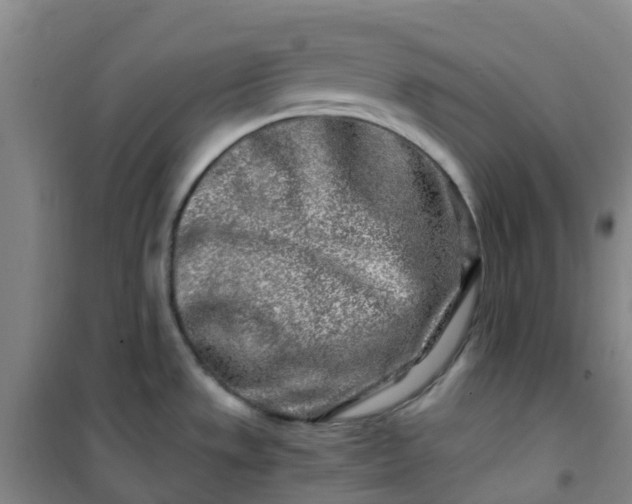 X0000101171533200807111040