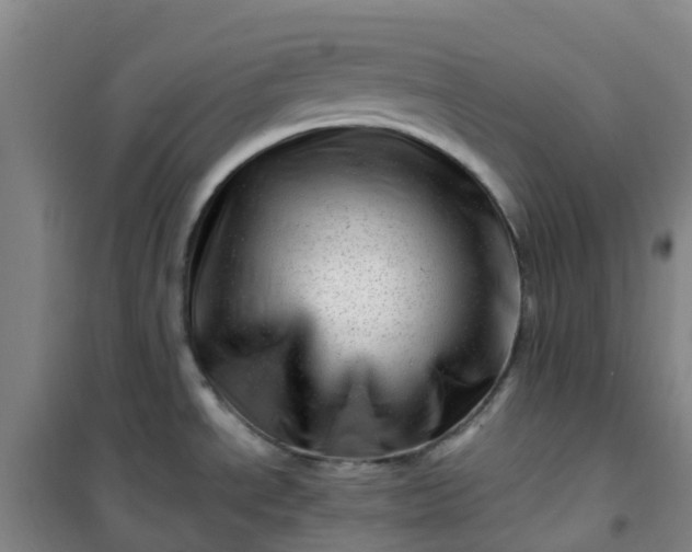 X0000101171534200807111040