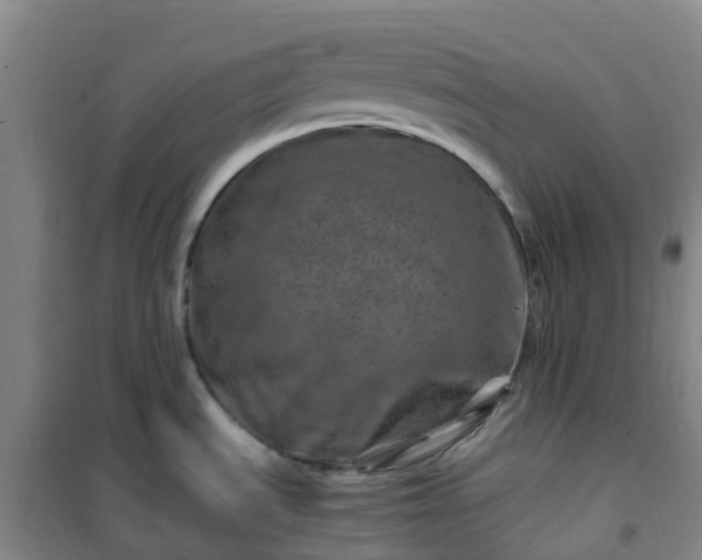 X0000101171535200807111040