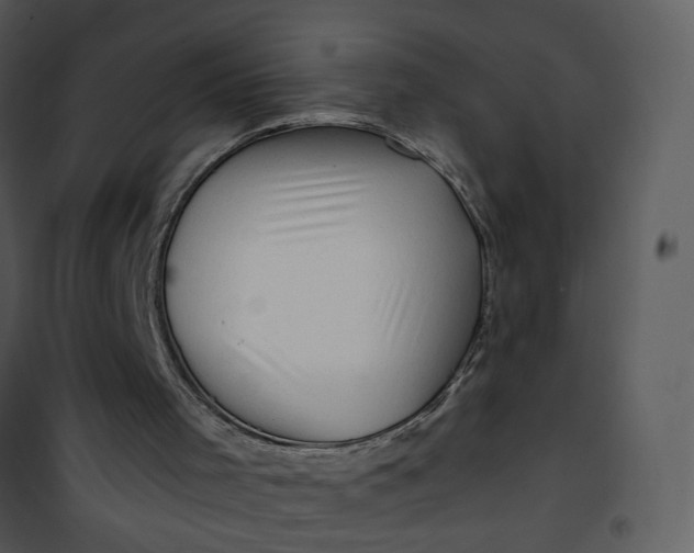X0000101170001200807181435