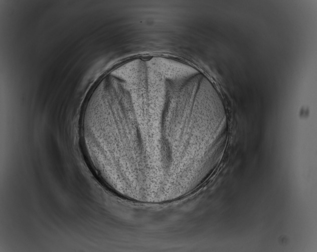 X0000101170002200807181435