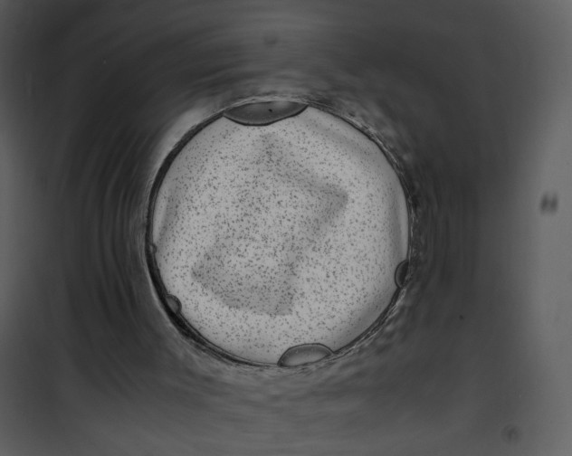 X0000101170003200807181435