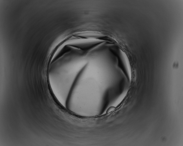 X0000101170004200807181435