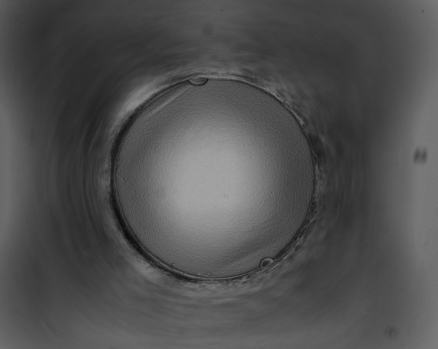 X0000101170005200807181435