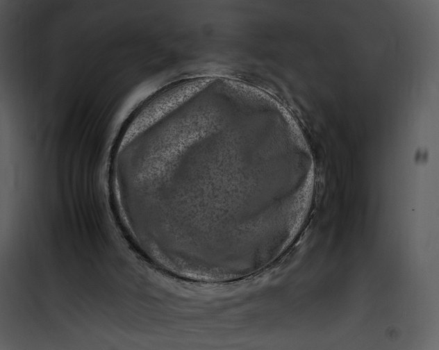 X0000101170006200807181435