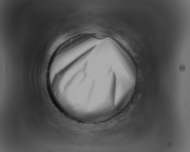 X0000101170007200807181435
