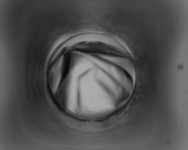 X0000101170008200807181435