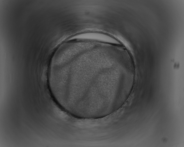 X0000101170009200807181435