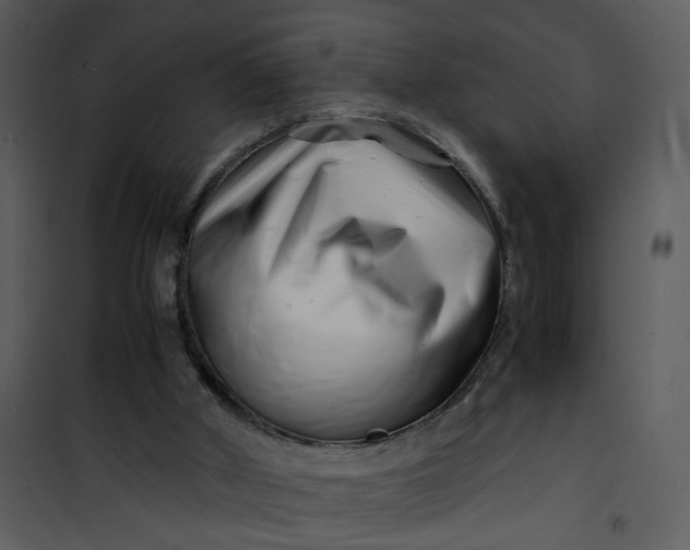 X0000101170010200807181434
