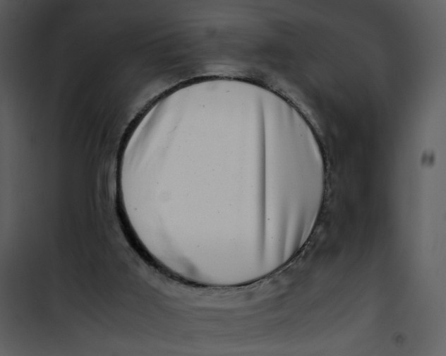 X0000101170011200807181434