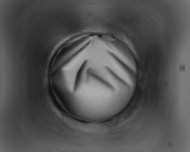 X0000101170012200807181434