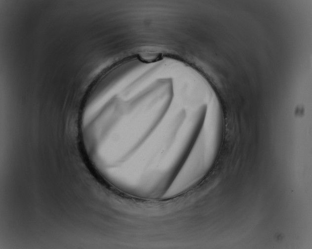 X0000101170015200807181434
